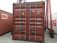 Inspección de la carga del Container
